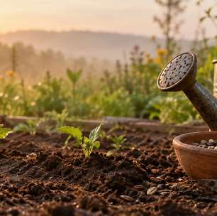 Primavera e prosperidade: 7 práticas do Xamanismo para o ciclo