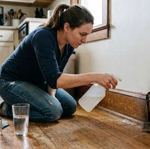 Quantas colheres de vinagre são necessárias para espantar os ratos de casa?