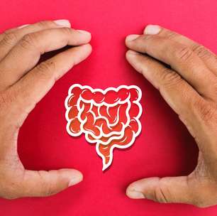 O intestino poderia proteger o cérebro?