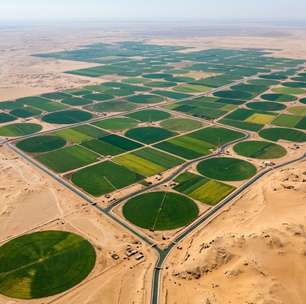 O Egito está convertendo milhões de hectares de deserto em terras agrícolas utilizando água reciclada