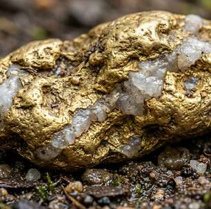 Minerador encontrou no Alasca a maior pepita de ouro do estado: peça de 9,14 kg foi vendida por US$ 750 mil
