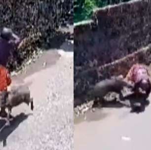 Homem fica ferido após ser atacado duas vezes por javali enquanto caminhava em rua na Índia; veja momento