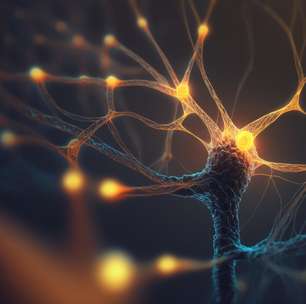 Oportunidade na UFRGS: Inscrições abertas para o tradicional Curso de Neurociências