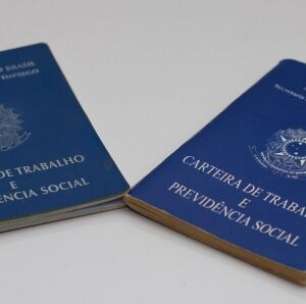 Pernambuco terá cerca de 30 mil vagas em feira virtual de empregos e estágios; veja como participar