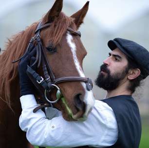 Animal de quase 1 tonelada consegue distinguir odores ligados ao medo humano, aponta experimento