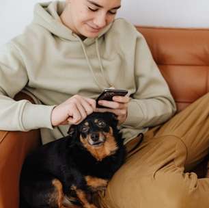 Pesquisas mostram que a convivência com cães de estimação pode aliviar a ansiedade e o estresse em adolescentes