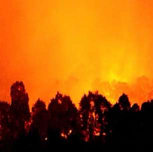 Clima seco da Austrália causa dezenas de incêndios sem controle