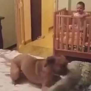 Que farra boa! Bebê e cão protagonizam momentos de fofura