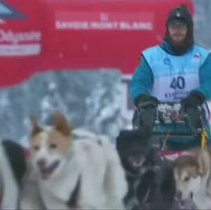 300 cães aceleram nos Alpes franceses em corrida de trenós