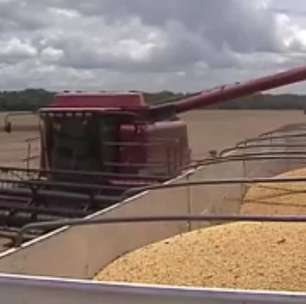 Top Agro: exportações do complexo soja subiram 27% em janeiro