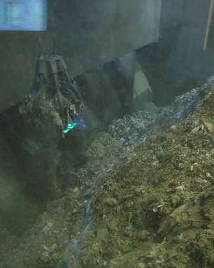 Dinamarca incinera 4 milhões de visons para conter cepas