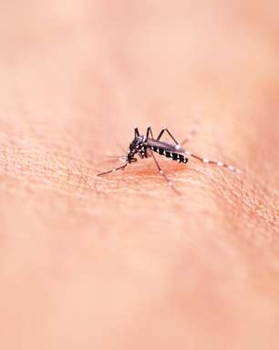 Calha e vaso sanitário podem virar foco de dengue nas férias