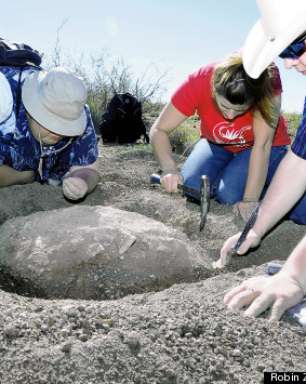 Fóssil de tartaruga de 90 milhões de anos é achado nos EUA