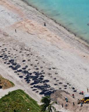 Saiba como estão as praias do Nordeste após manchas de óleo