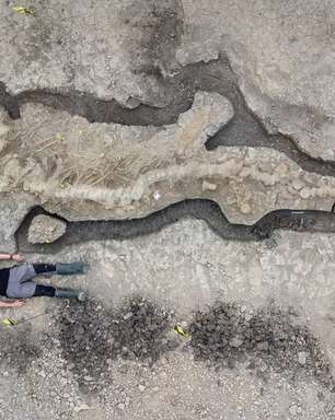 O fóssil de 'dragão do mar gigante' encontrado no Reino Unido