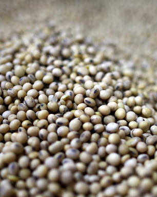 Glencore fecha acordo para comprar negócio de grãos da Gavilon por US$ 1,1 bi
