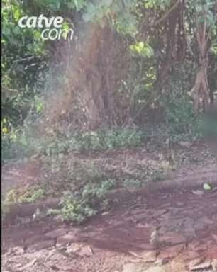Homem morre e outro fica ferido em tiroteio no município de Ouro Verde do Oeste