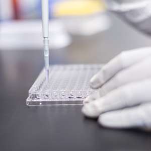 Nova variante do coronavírus é detectada em 2 casos em SP