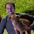 Repórter do SBT adota cão que abraçou sua perna: 'Surgiu amizade'
