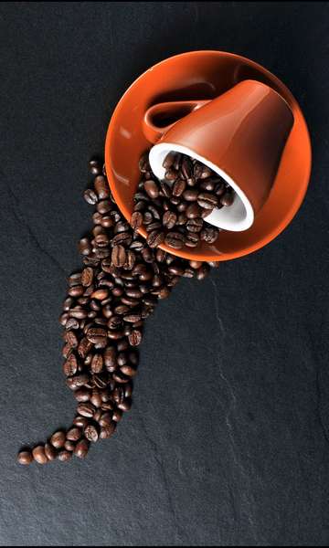 Descubra 10 curiosidades sobre o café