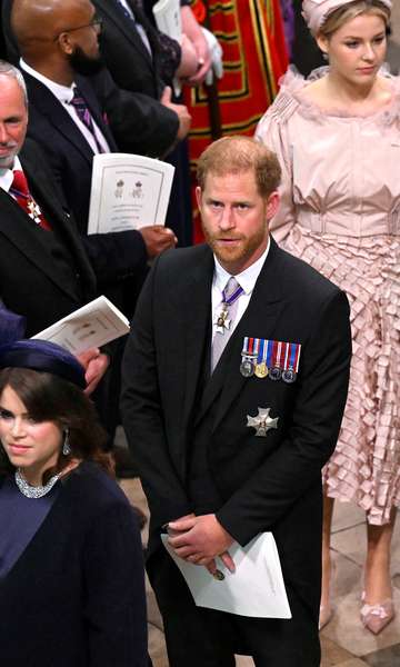 Demoted and Excluded: What Harry's Performance Was at Charles' Coronation 