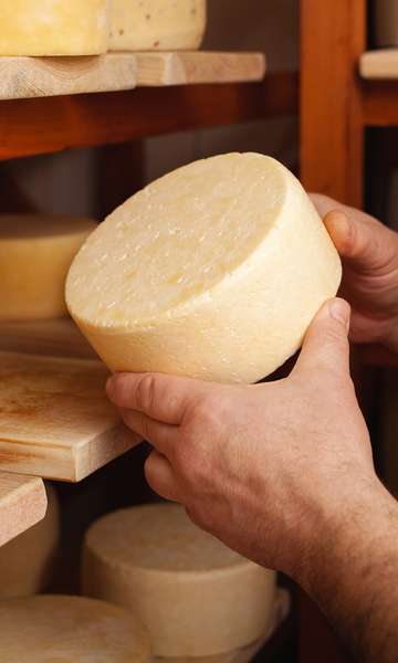Os 10 melhores queijos artesanais do Brasil