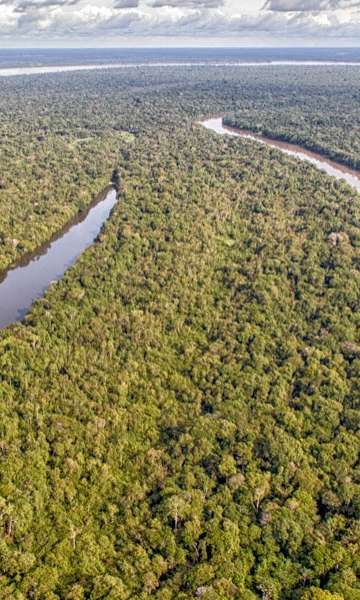 Amazônia sangra e chora: dados comprovam que a maior floresta do mundo está em risco