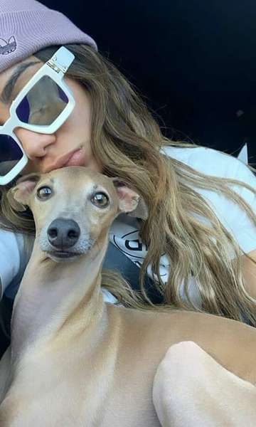 Pets de famosos que têm mais seguidores que você