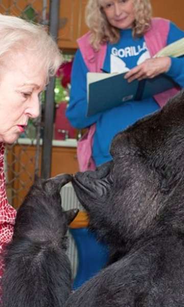 Conhe&ccedil;a animais que entraram para a hist&oacute;ria da ci&ecirc;ncia