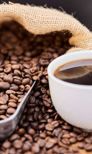 Você sabe qual é o café mais caro do mundo?
