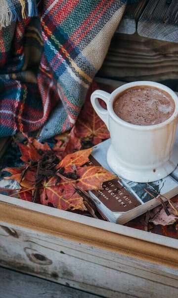 Pesquisa aponta benef&iacute;cios do chocolate durante a manh&atilde;