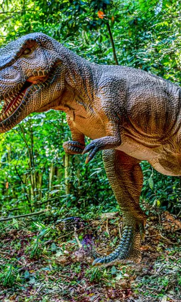 Por que os dinossauros foram extintos?