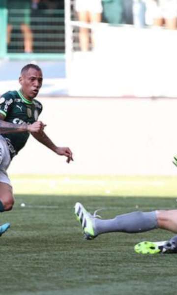 VÍDEO  Breno Lopes abre o placar para o Palmeiras contra o Fluminense