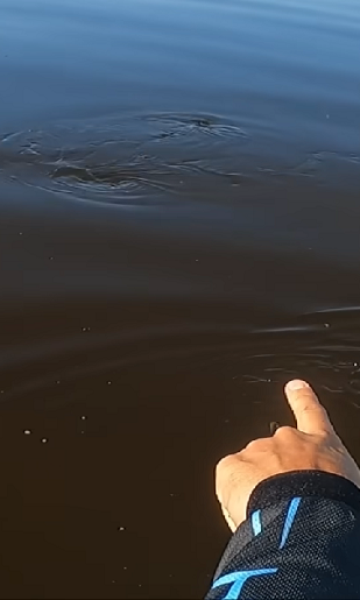 Homem trava batalha com peixe gigante da Amaz&ocirc;nia: 'Tive medo'