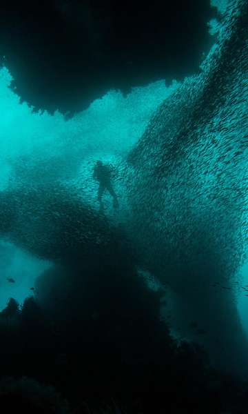 O que é e como funciona mineração no fundo do mar, aprovada pela Noruega