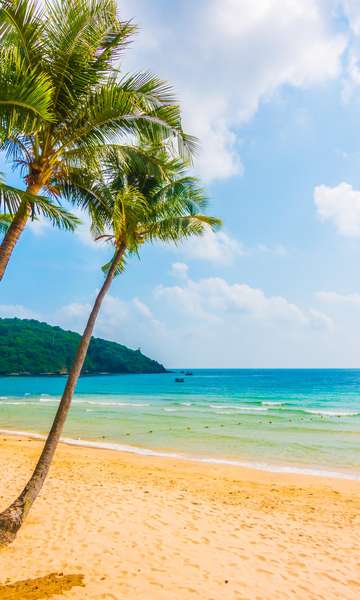 Coletar conchas, dar comida aos peixes e mais: saiba o que NÃO fazer no turismo em praias