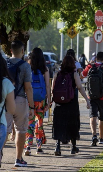 Ensino superior: quais são os 10 cursos com mais matrículas no Brasil