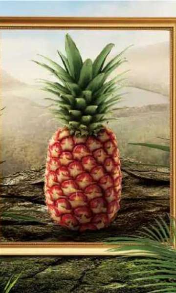 Abacaxi, morango e mais: confira as frutas premium que 'custam os olhos da cara'