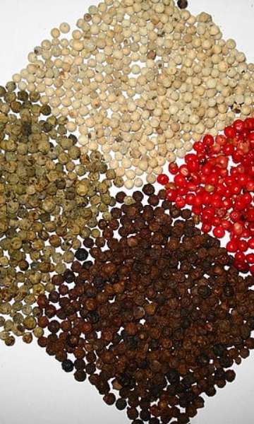 Delicious: the touch of seasonings and spices in the kitchen