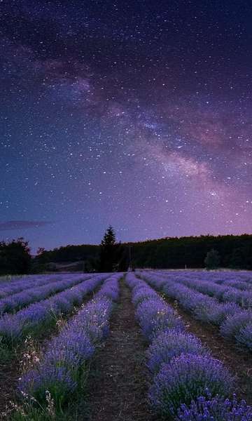 As maiores estrelas do universo, veja quais são!