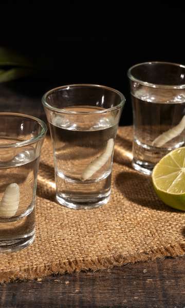 Dia da Cachaça: 7 sabores diferentes para conhecer e apreciar