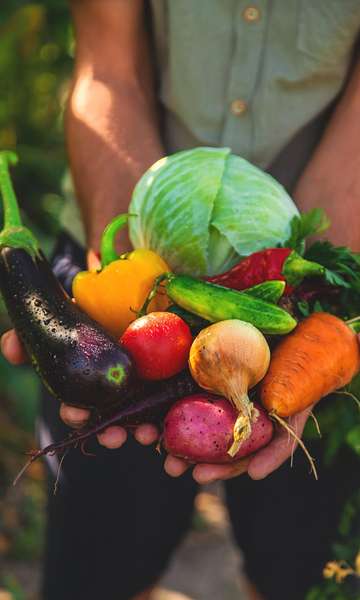 7 benefícios das frutas e verduras para a saúde