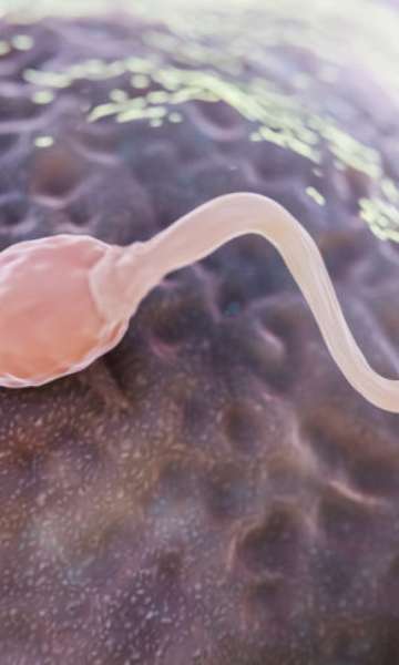 Mulher sente queima&ccedil;&atilde;o na perna e descobre parasita no c&eacute;rebro; entenda