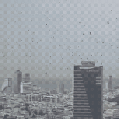 Milhares de corvos tomam o céu de Tel Aviv e cena levanta teorias religiosas