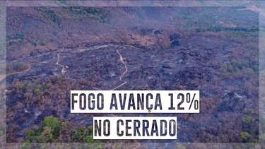 Chapada dos Veadeiros tem 10º dia de incêndios