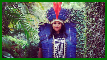 Há motivos para comemorar o Dia da Amazônia?