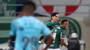 Palmeiras bate Flu, põe uma mão na taça e torcida faz festa de campeão