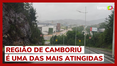 Catarina Carros: o seu melhor classificado de carros na web em Santa  Catarina - Blog Catarina Carros