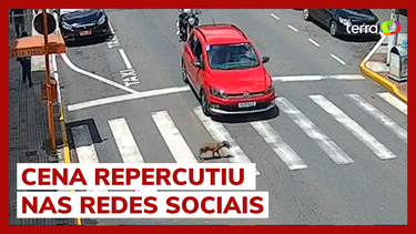 Motorista cochila e carro fica pendurado no estacionamento