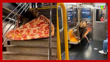 Relembramos um meme chocante: o rato carregando uma pizza em NY - Fotos -  R7 Hora 7